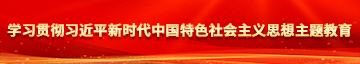 被农民工爱爱小黄文学习贯彻习近平新时代中国特色社会主义思想主题教育